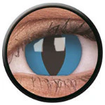Colorvue Crazy Cheshire (2 lenses/pack)