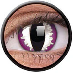 Colorvue Crazy Purple Dragon Eye (2 lenses/pack)