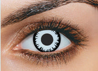 Coscon Crazy with Power - Luna Grey (1 lens/pack) - Image 2