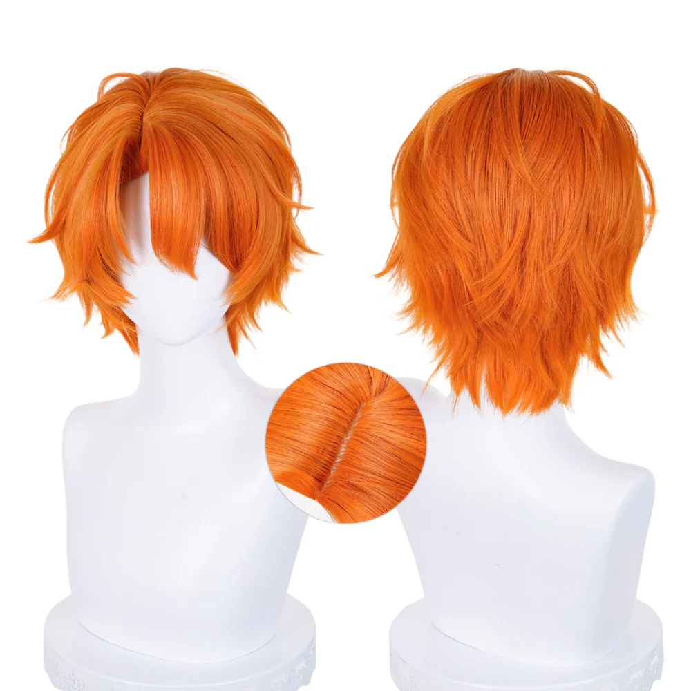 Cosplay Wig CS-278H