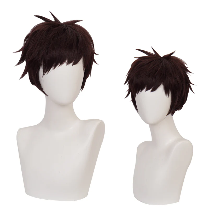 Cosplay Wig - CS 384K