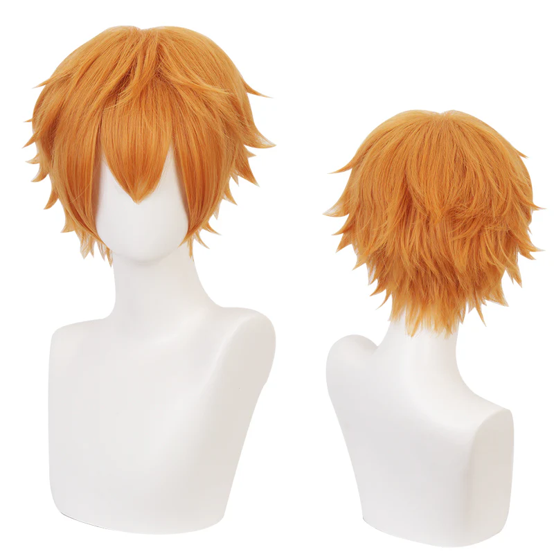 Cosplay Wig - CS 429A