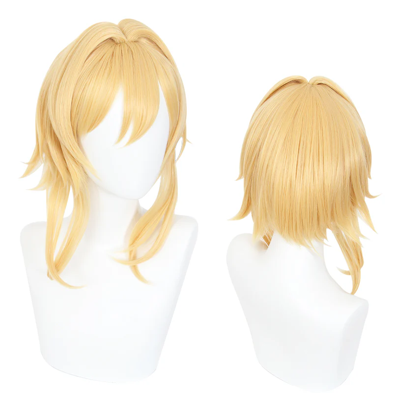 Cosplay Wig - CS 455H