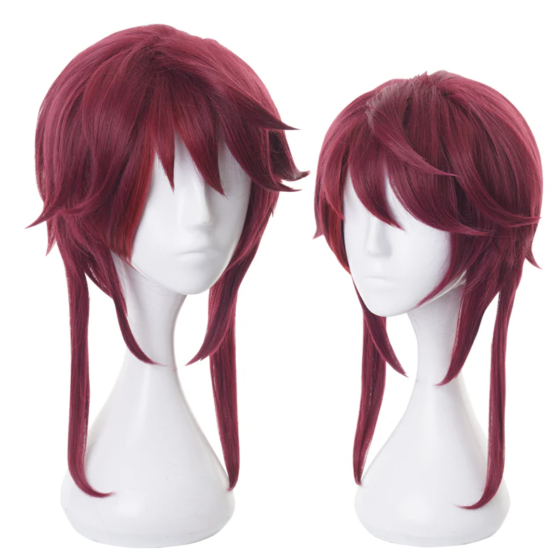Cosplay Wig - CS 455N