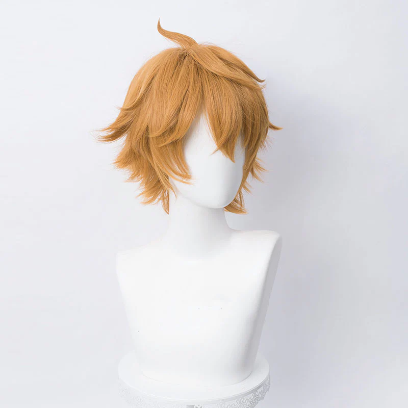 Cosplay Wig - CS 455R - Image 2