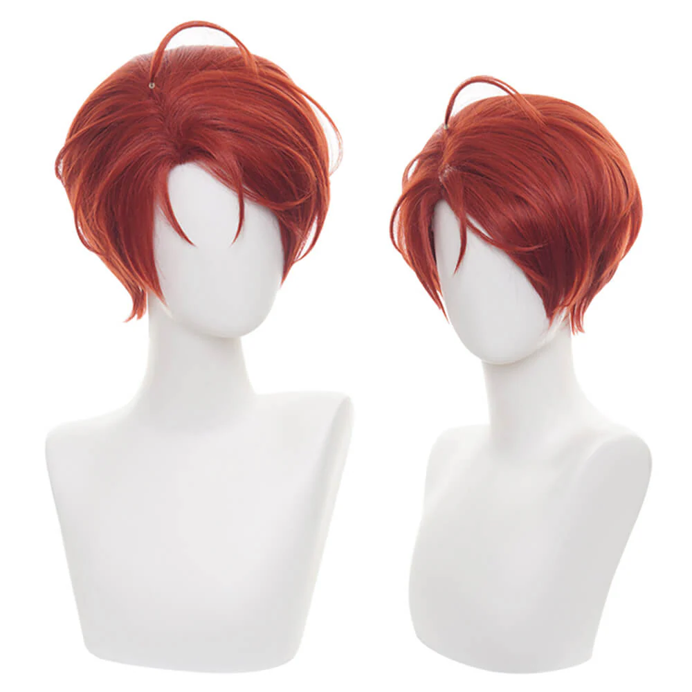 Cosplay Wig - CS 467C