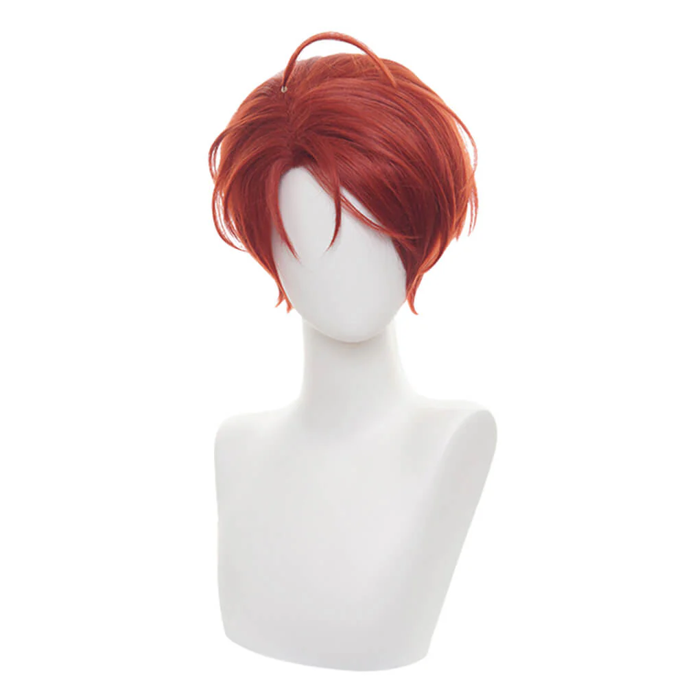Cosplay Wig - CS 467C - Image 2