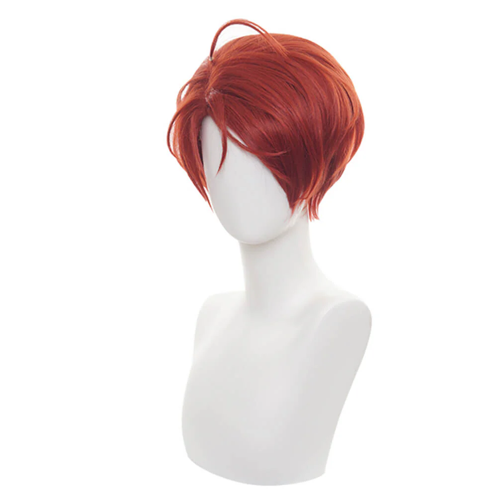 Cosplay Wig - CS 467C - Image 4