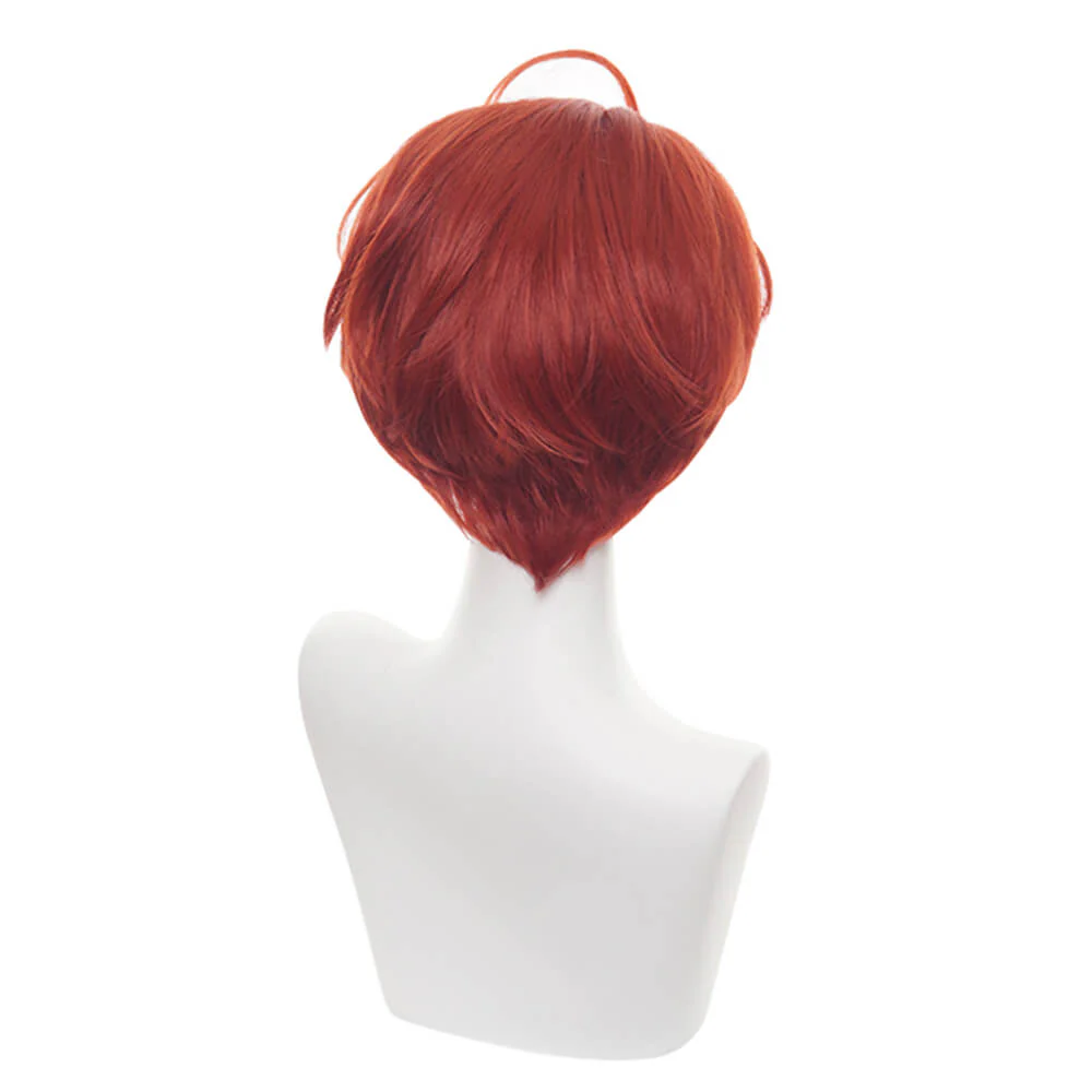 Cosplay Wig - CS 467C - Image 5