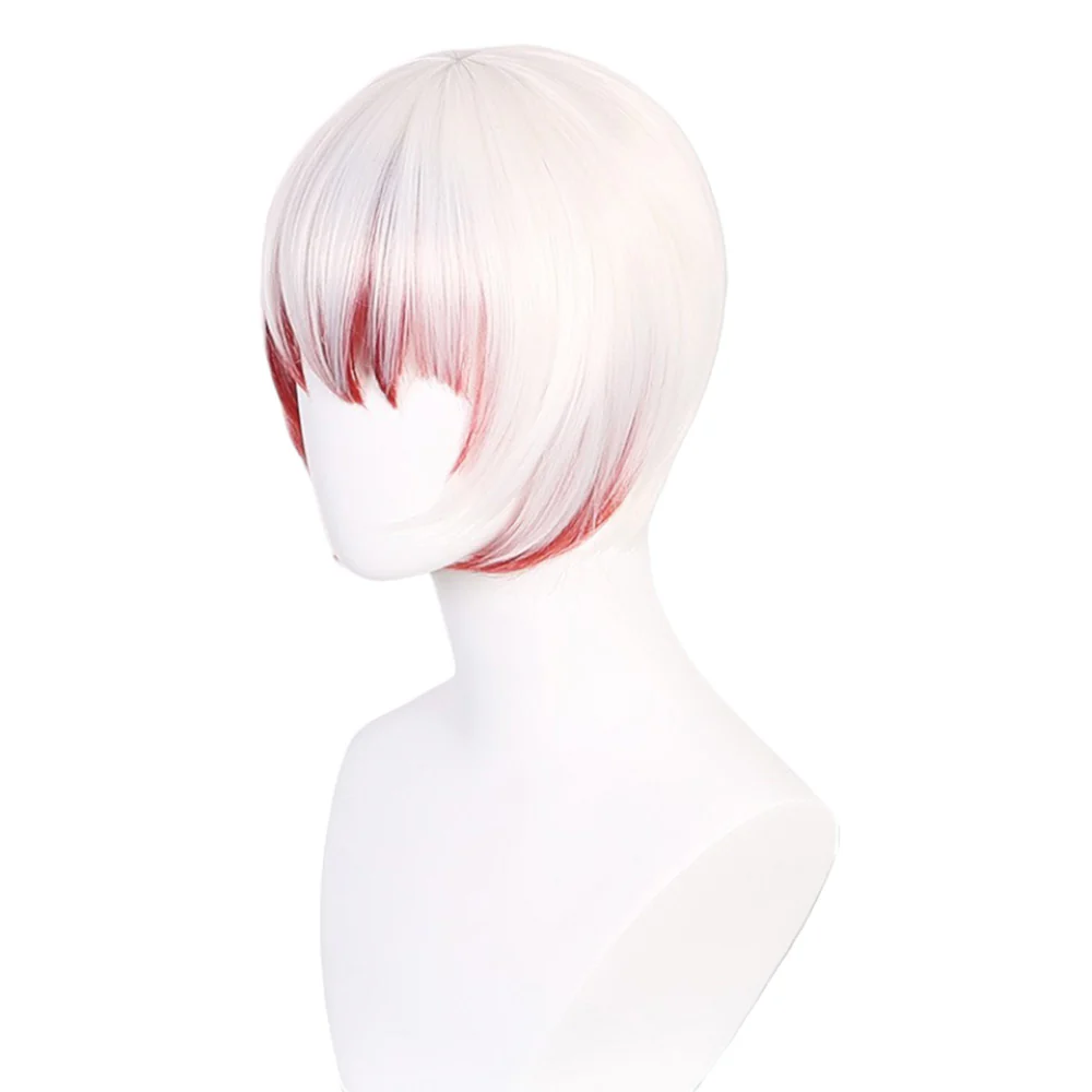 Cosplay Wig - CS 477I