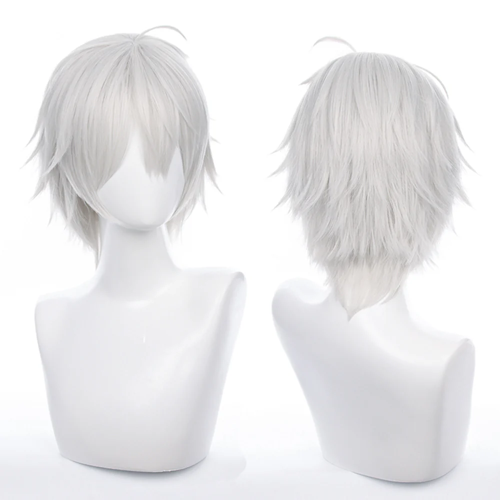 Cosplay Wig - CS 498G
