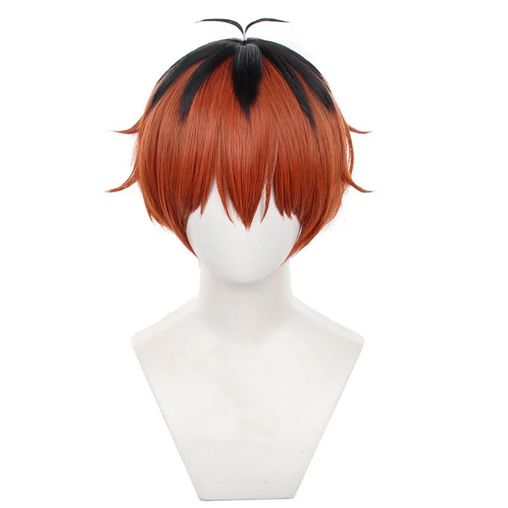 Cosplay Wig - CS 529D