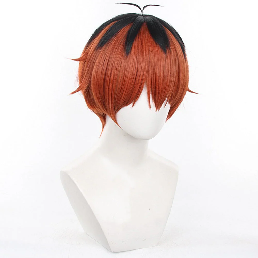 Cosplay Wig - CS 529D - Image 2