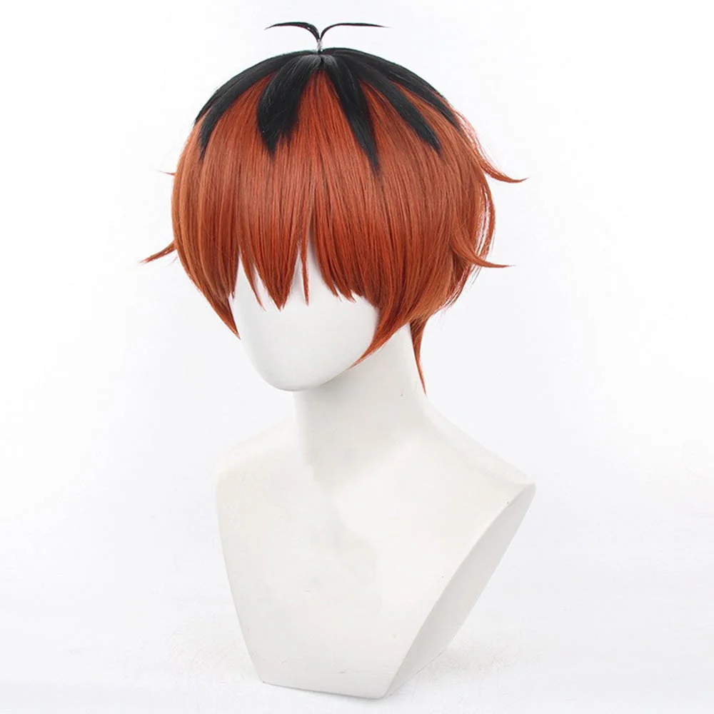 Cosplay Wig - CS 529D - Image 3