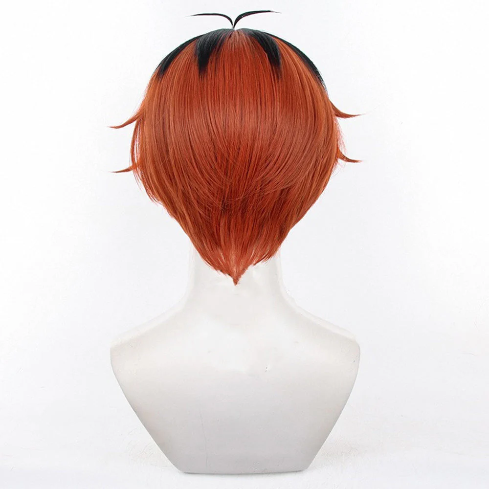 Cosplay Wig - CS 529D - Image 4