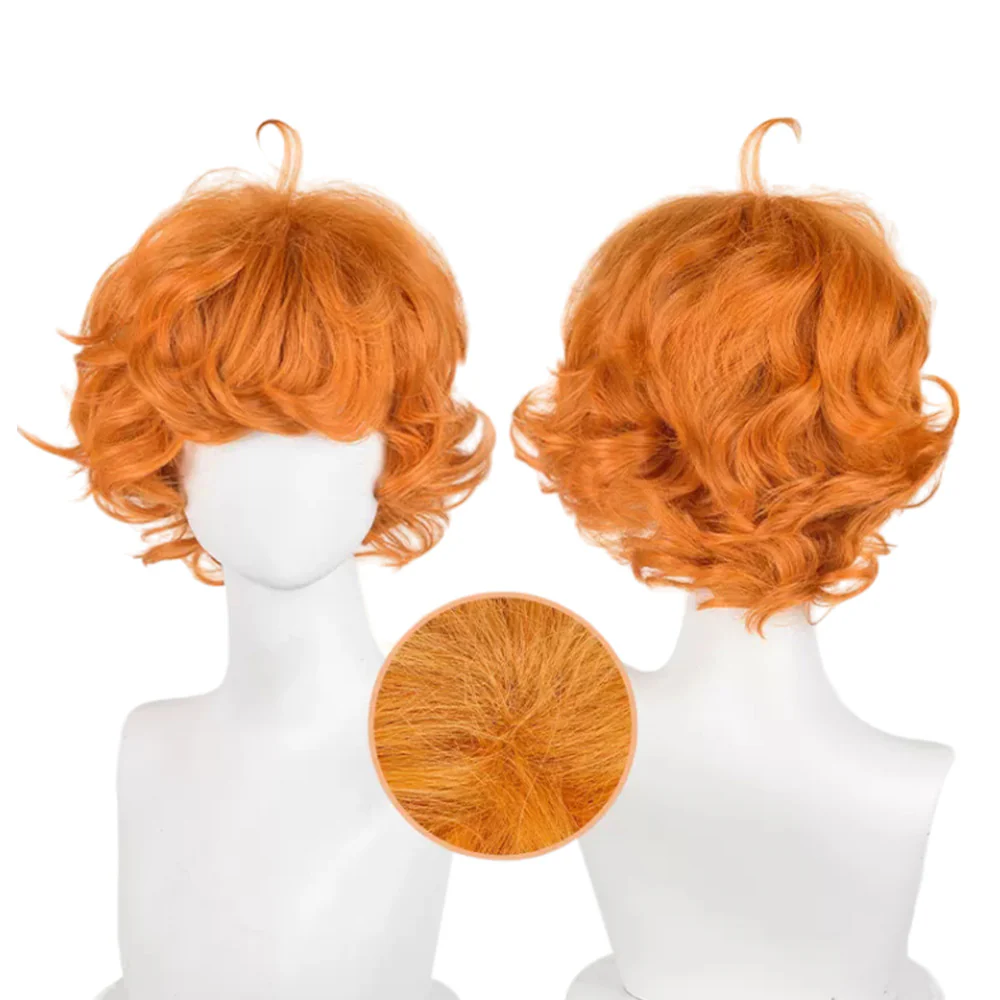 Cosplay Wig - CS 531C