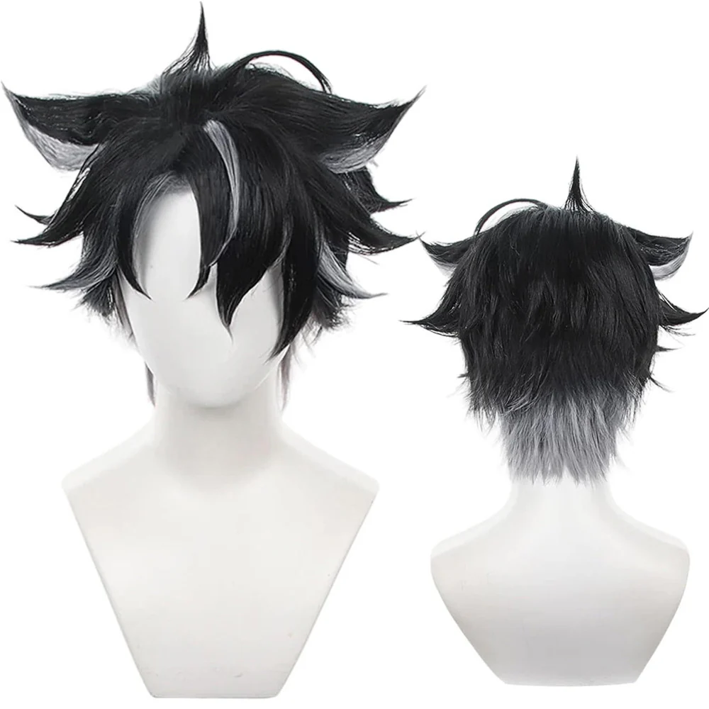 Cosplay Wig - CS 555Z