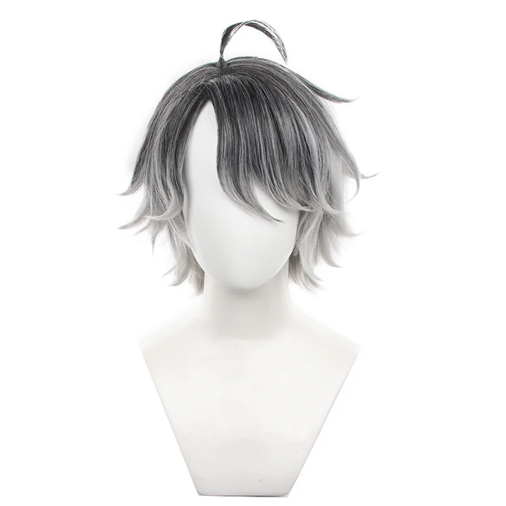Cosplay Wig - CS 625C
