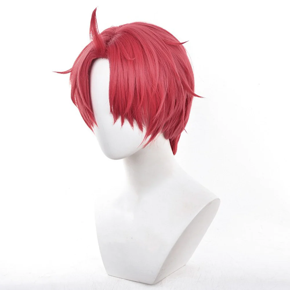 Cosplay Wig - CS 631C - Image 2