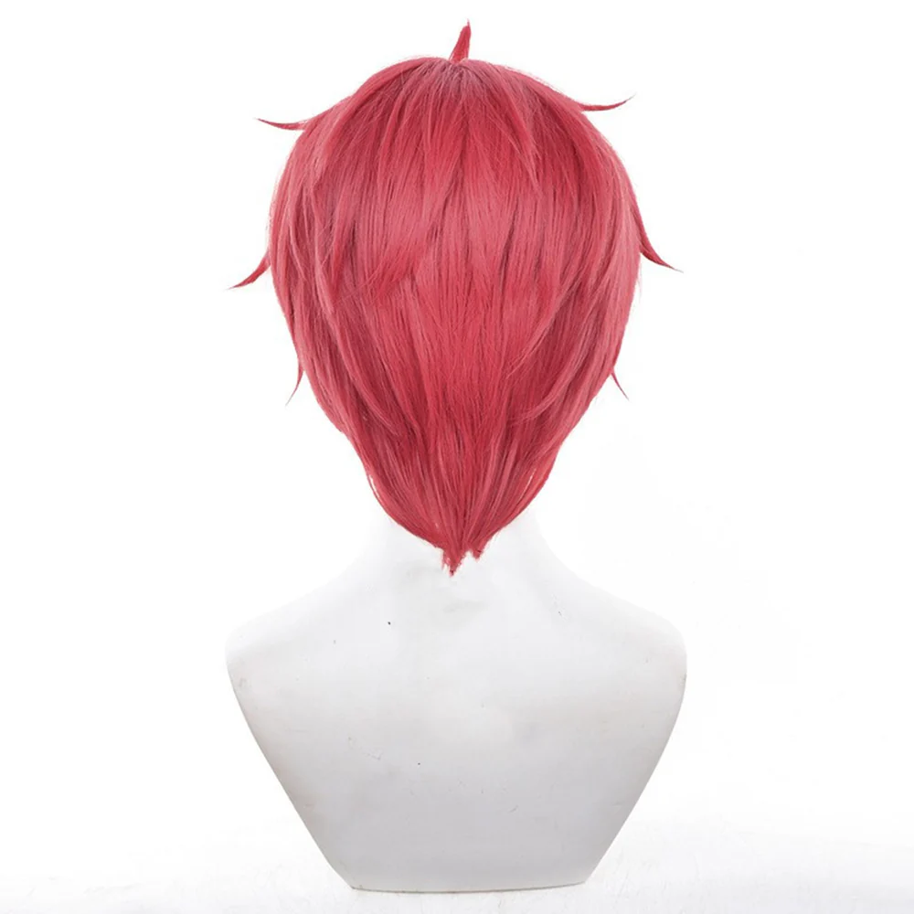 Cosplay Wig - CS 631C - Image 4
