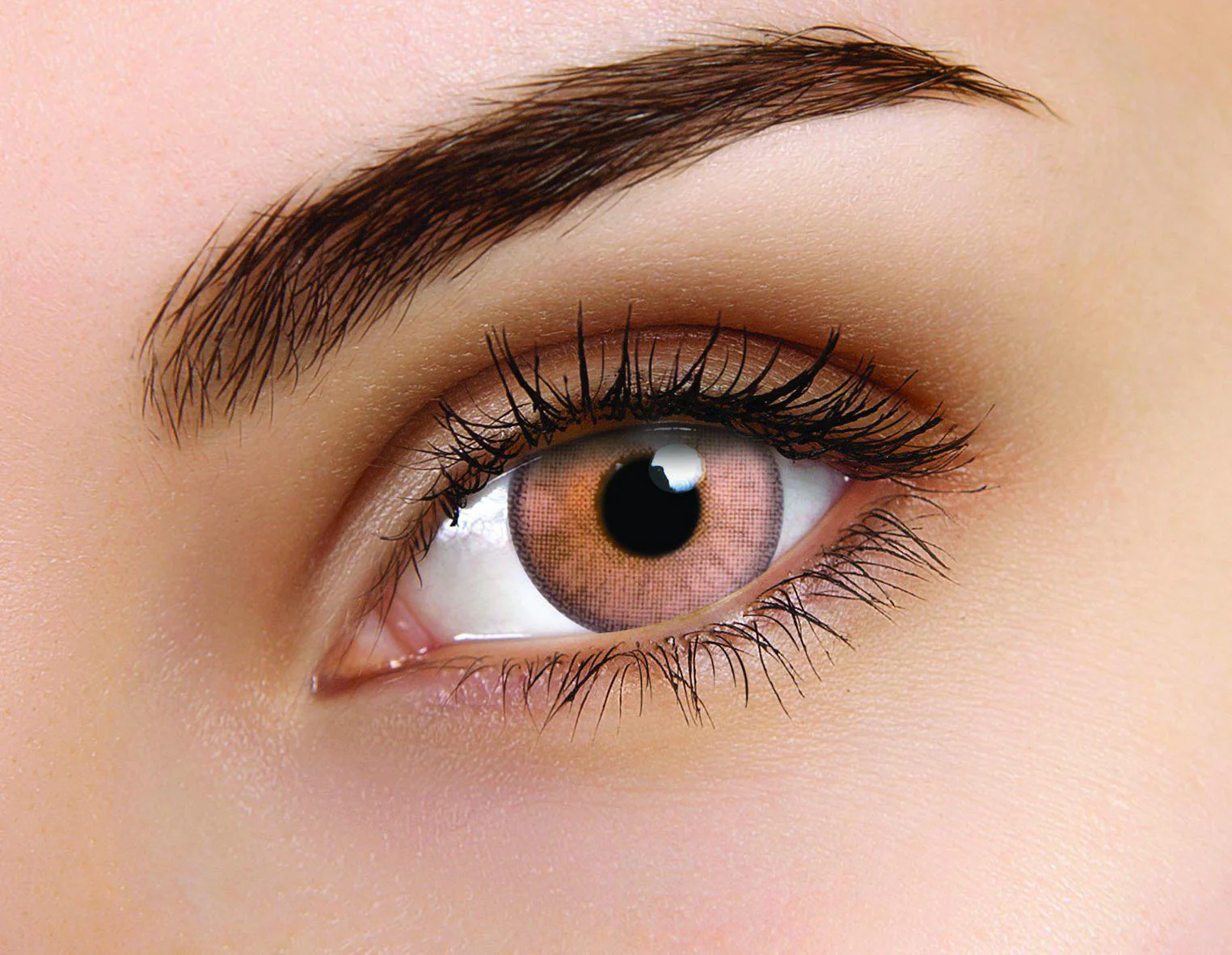 Flash Elixor Sinopia Brown (2 lenses/pack)