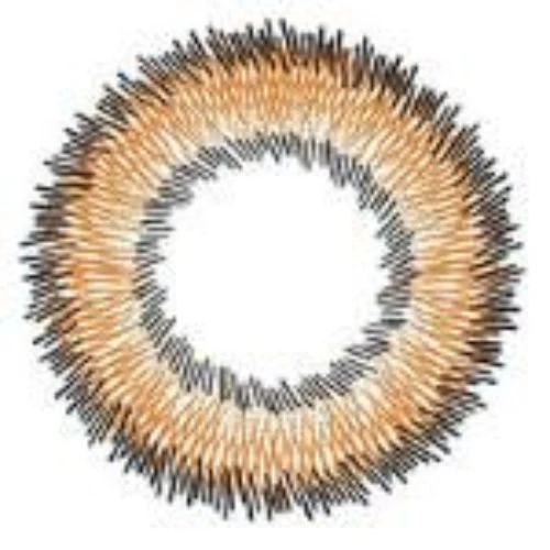 I-Codi Naty IC2 51 Brown (1 lens/pack) - Image 3