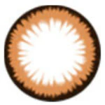 I.Fairy Almond Brown (1 lens/pack)