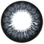 I.Fairy Ash Grey (1 lens/pack)