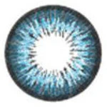 ICK Garnet Blue (1 lens/pack)