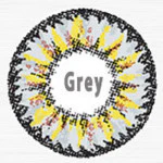 ICK Gaudy Grey (1 lens/pack)