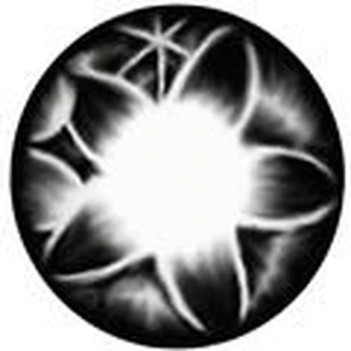 Kimchi Flora Grey (1 lens/pack)