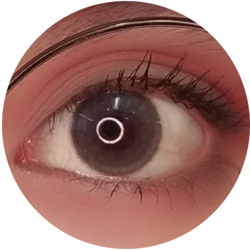 Sweety Bassia Grey (1 lens/pack)