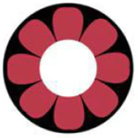 Sweety Crazy Pink Flower (1 lens/pack)