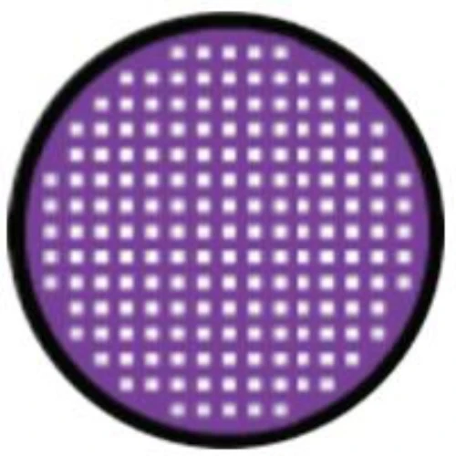Sweety Crazy Violet Mesh Rim (1 lens/pack) - Image 3