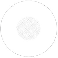 Sweety Crazy White Blind Mesh / Storm White (1 lens/pack)