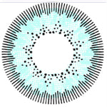 Kazzue Ice Queen (1 lens/pack)
