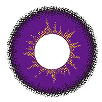 Sweety Max Violet (1 lens/pack) - Image 3