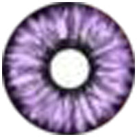 Sweety Violet Sclera Contacts - Elf Purple (1 lens/pack) - Image 2